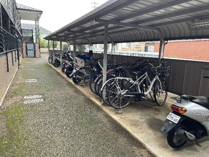 20/30 その他画像