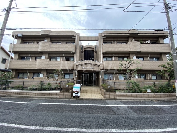 11/13 その他画像