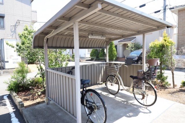 20/30 その他画像