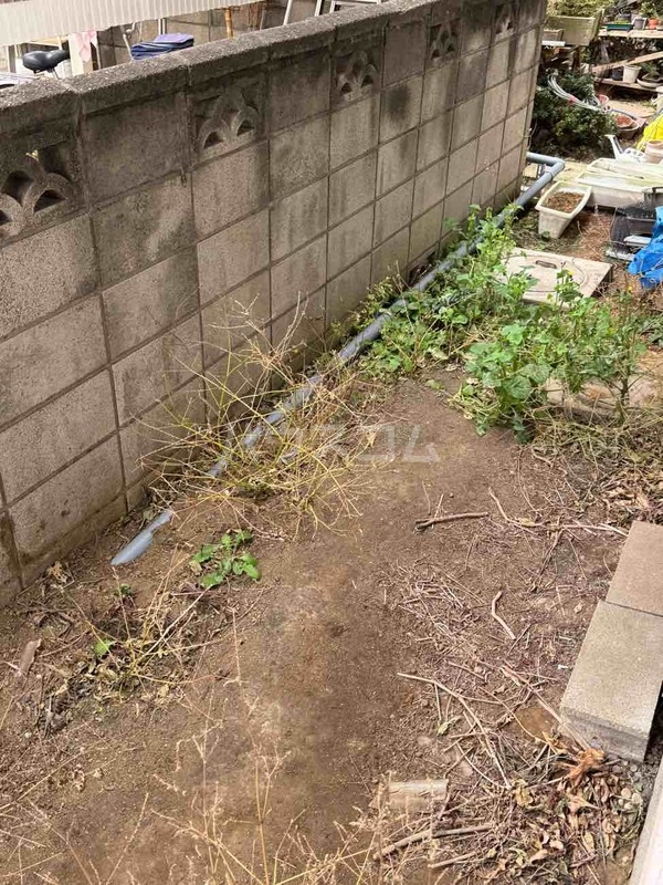 11/18 その他画像