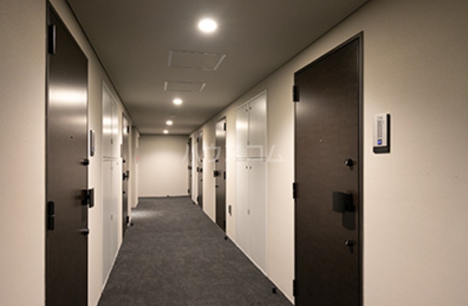 20/30 その他画像