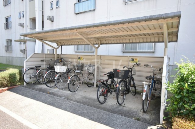 3/13 その他画像