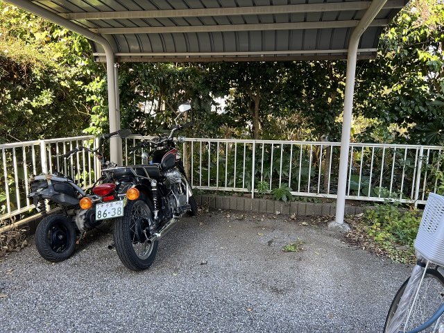 3/15 その他画像