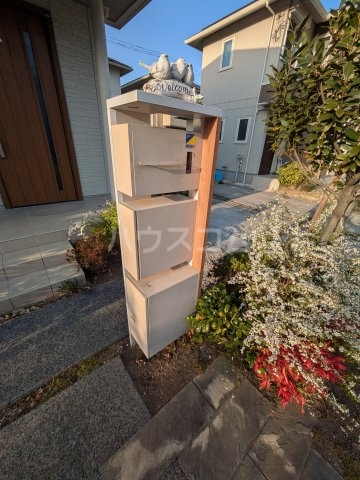 6/16 その他画像