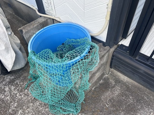 19/21 その他画像