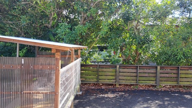 18/26 その他画像