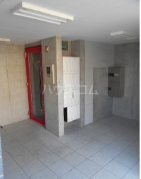 11/19 その他画像