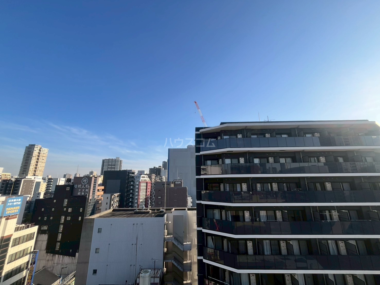 25/29 その他画像