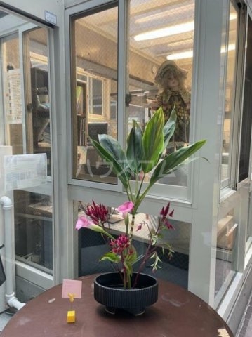 12/17 その他画像