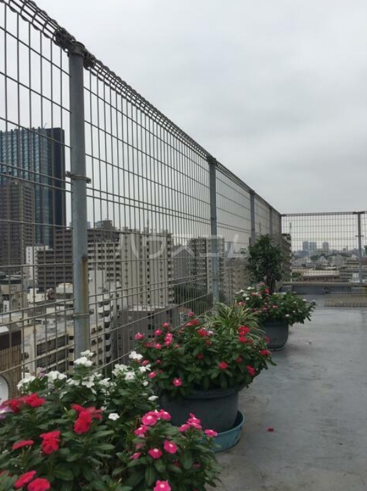 13/17 その他画像