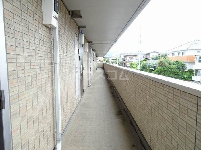 17/21 その他画像