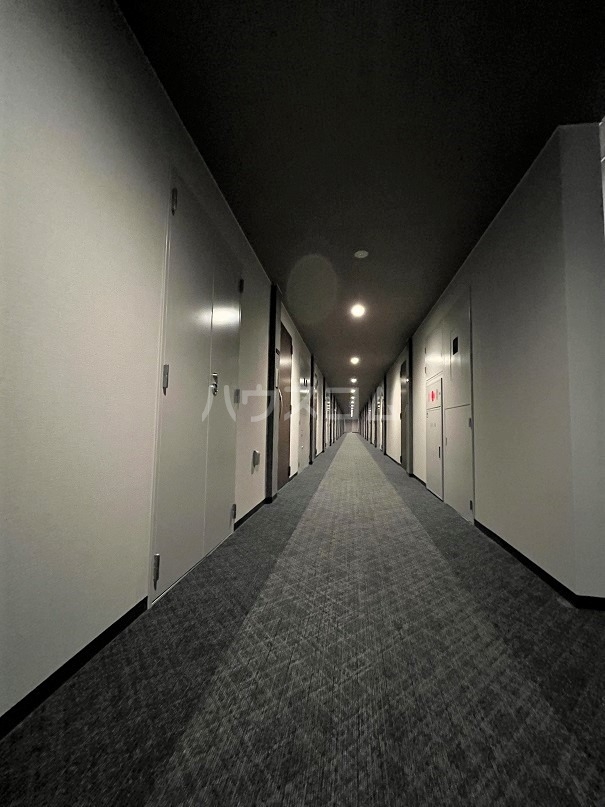 12/25 その他画像