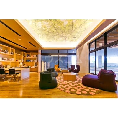 8/17 その他画像