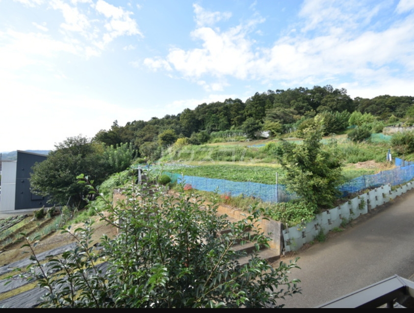 17/21 その他画像