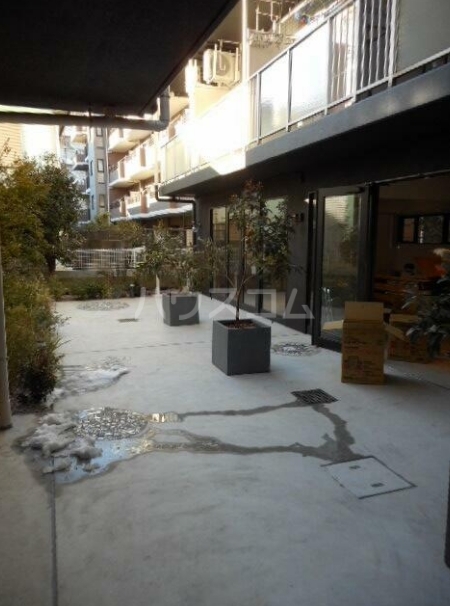 6/11 その他画像