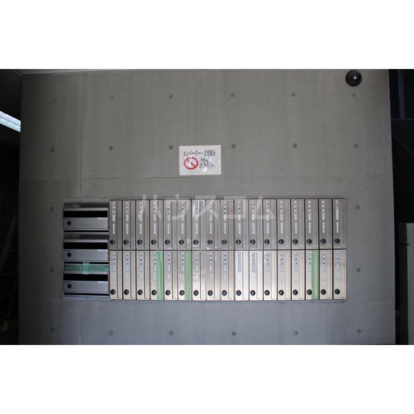 20/30 その他画像