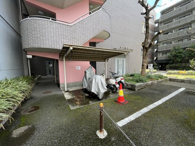 26/30 その他画像