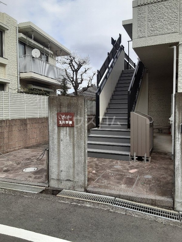 20/30 その他画像