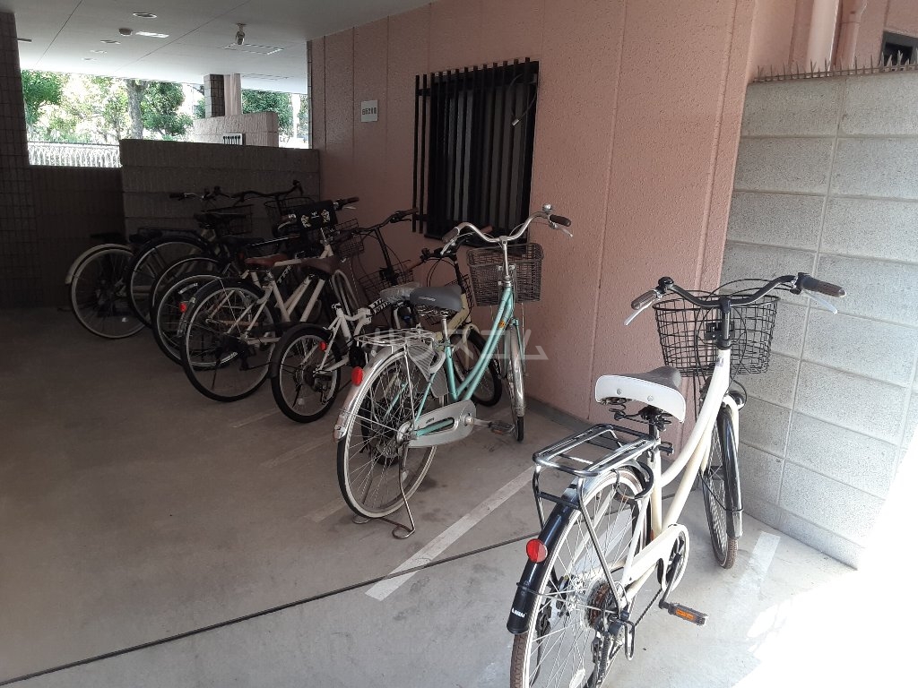 5/18 その他画像