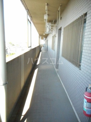 6/15 その他画像