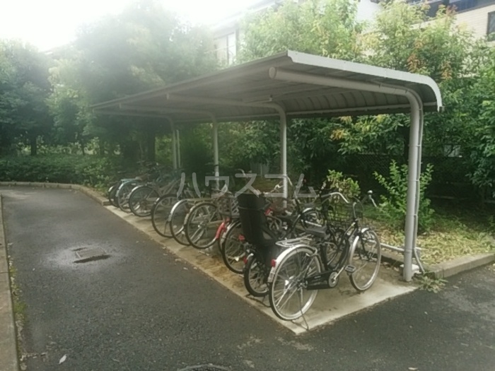 3/15 その他画像