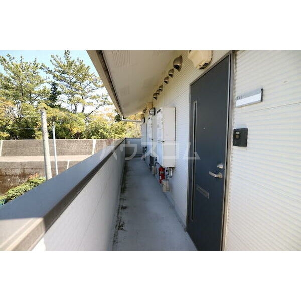 11/17 その他画像