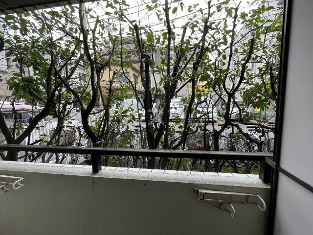 12/23 その他画像