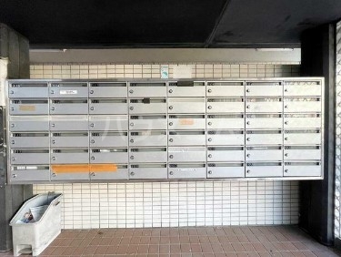 20/30 その他画像