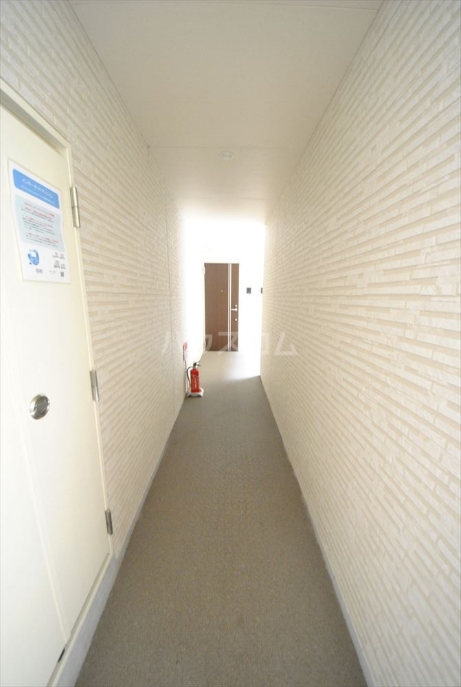 3/16 その他画像