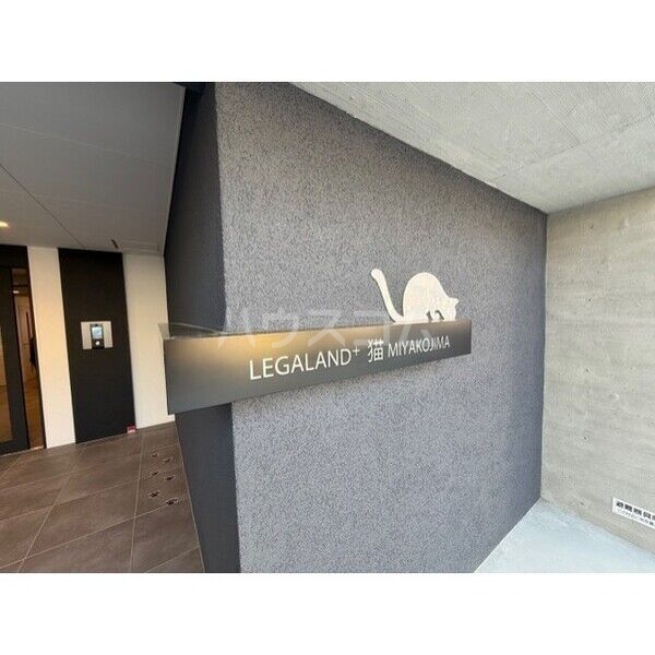 3/14 その他画像