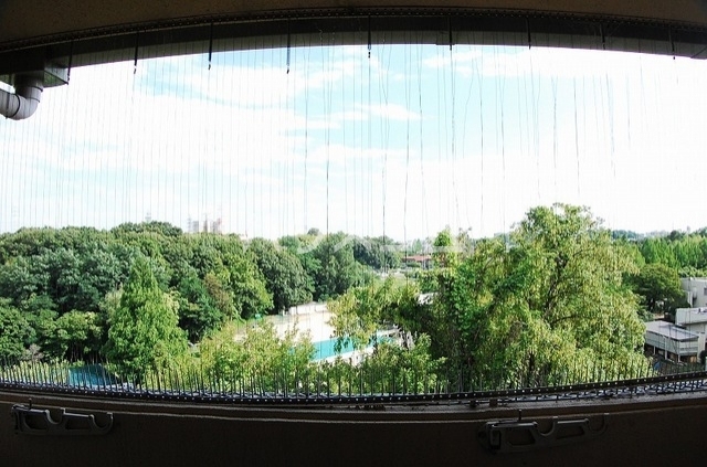 11/24 その他画像