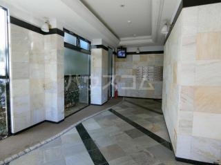 14/19 その他画像