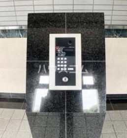 13/19 その他画像