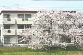 15/19 その他画像