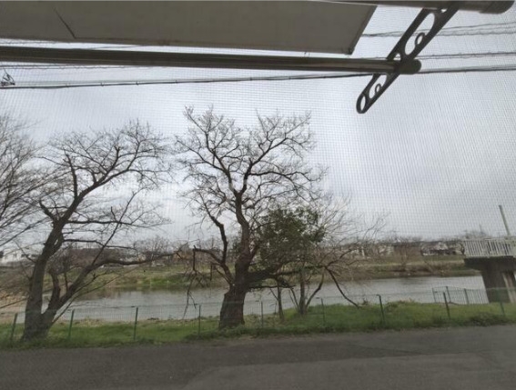 13/19 その他画像