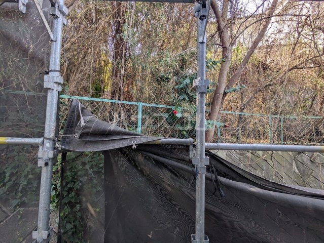 19/29 その他画像