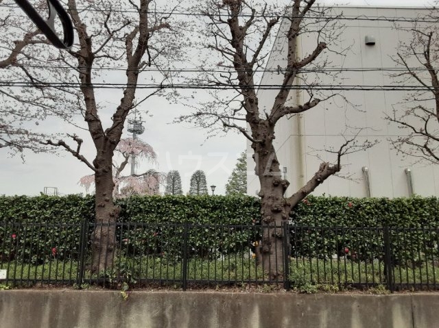 21/30 その他画像