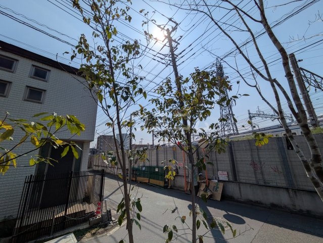 20/30 その他画像