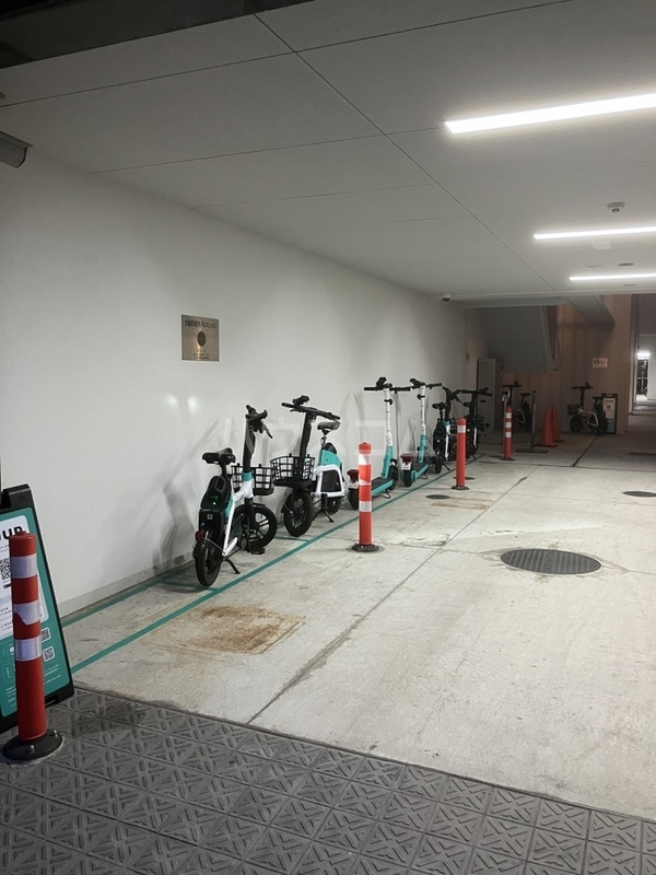 3/14 その他画像