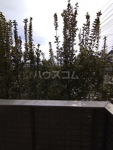 13/21 その他画像