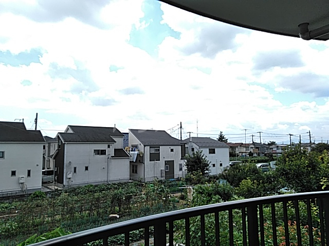 17/23 その他画像