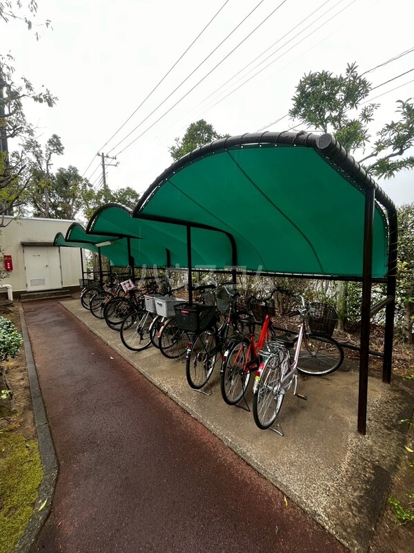 11/15 その他画像