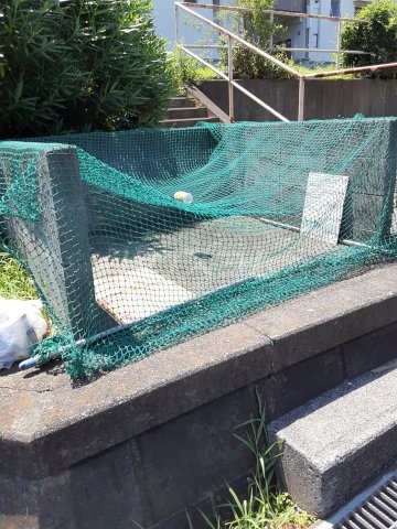 16/23 その他画像