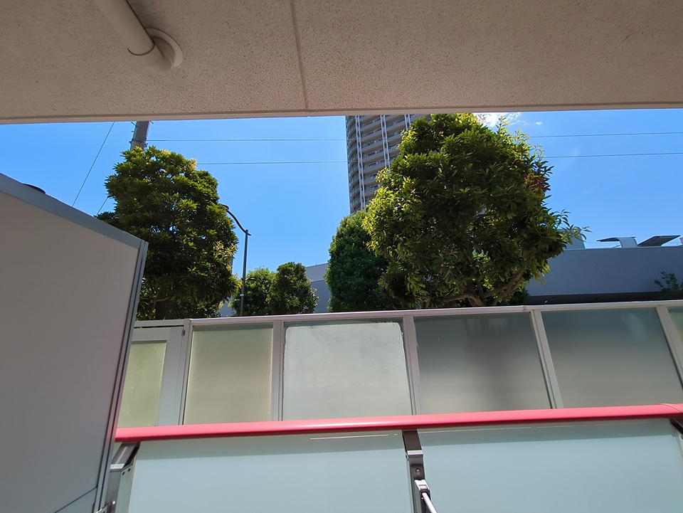 11/24 その他画像