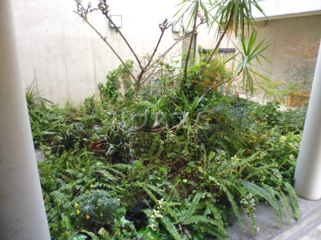 28/30 その他画像