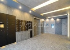 3/13 その他画像