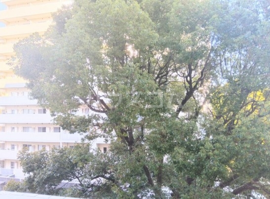 14/21 その他画像