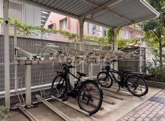 3/13 その他画像