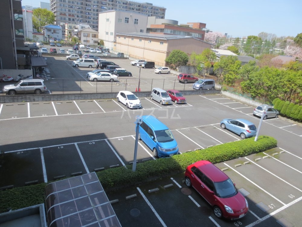 3/13 その他画像