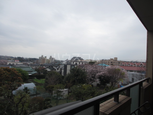 27/30 その他画像